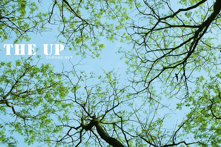 the_up_01.jpg