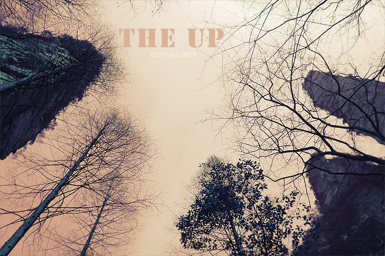the_up_03.jpg