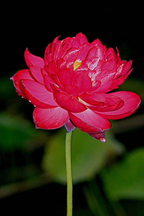 img_0021__.jpg