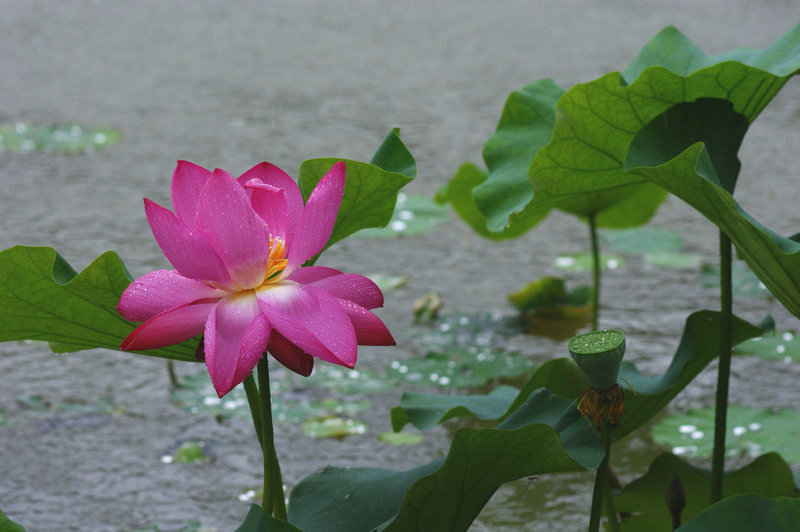 dsc07308.jpg