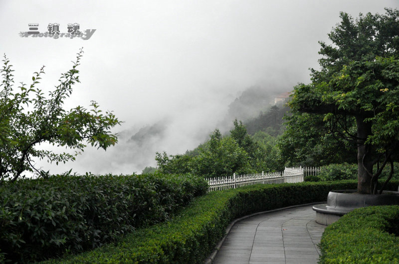 dsc_9580.jpg