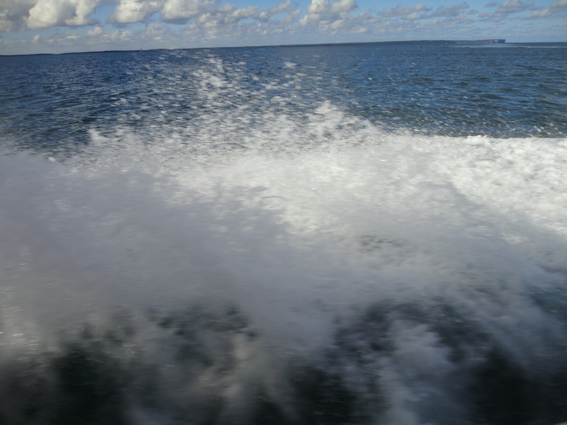 81.jpg