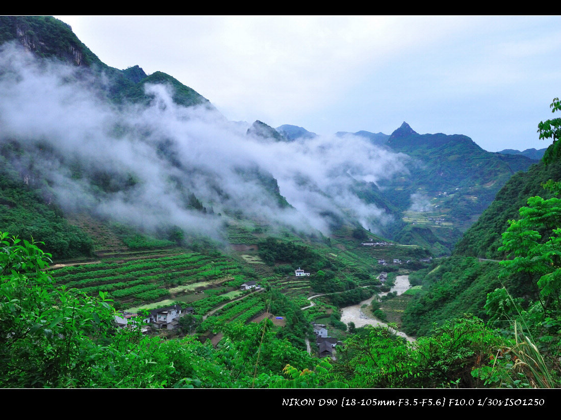 dsc_0720.jpg
