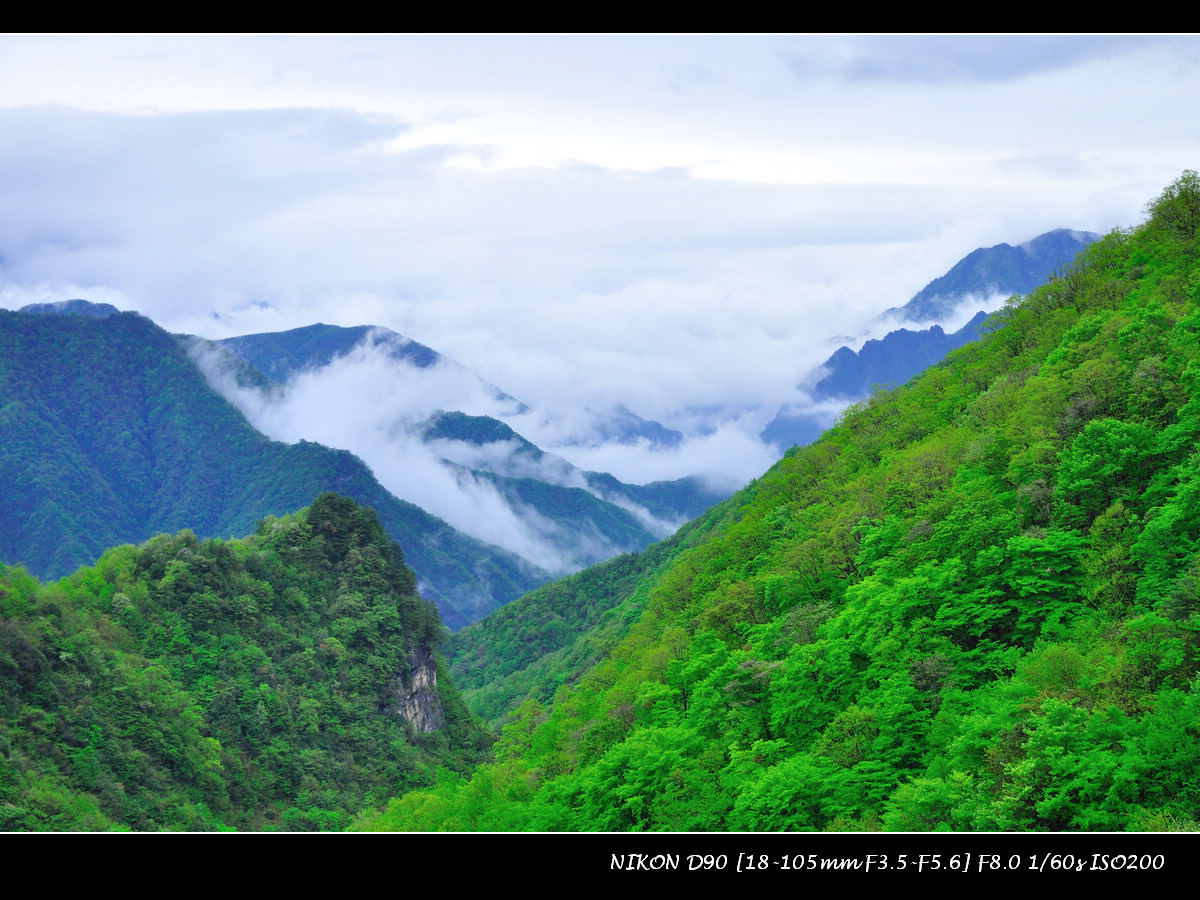 dsc_0701.jpg