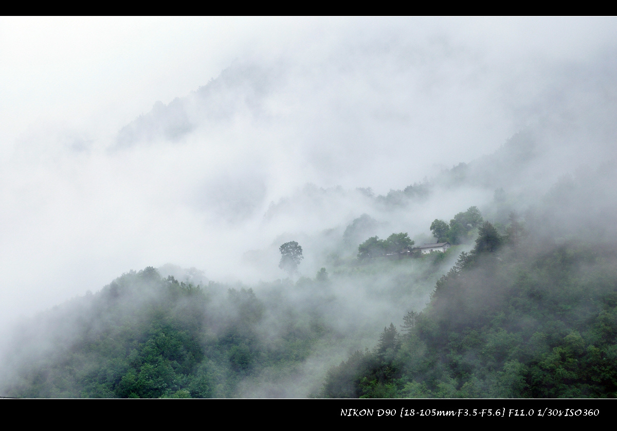 dsc_0558.jpg