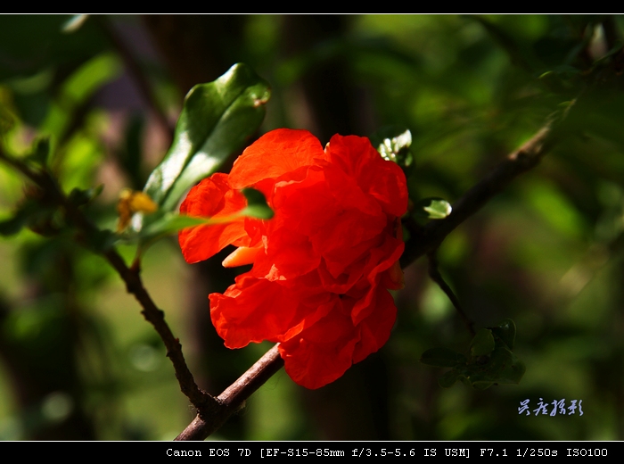 img_2046.jpg