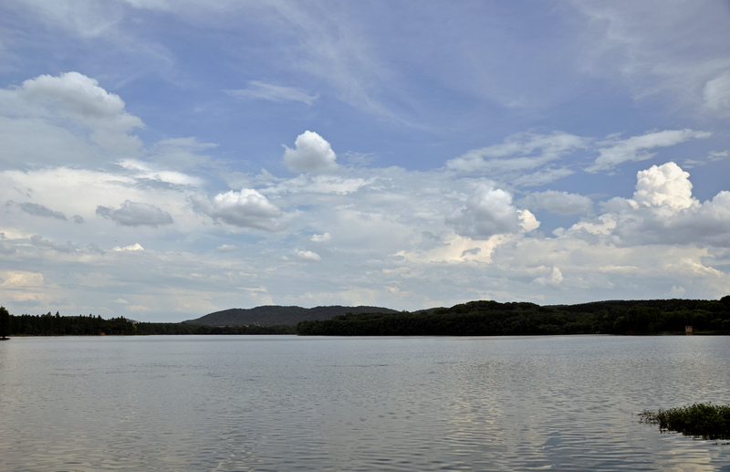 dsc_8423.jpg