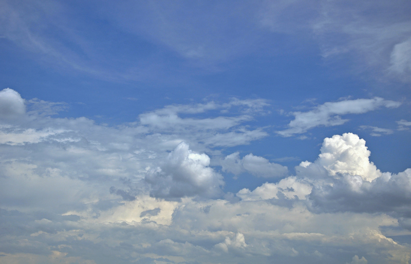 dsc_8420.jpg