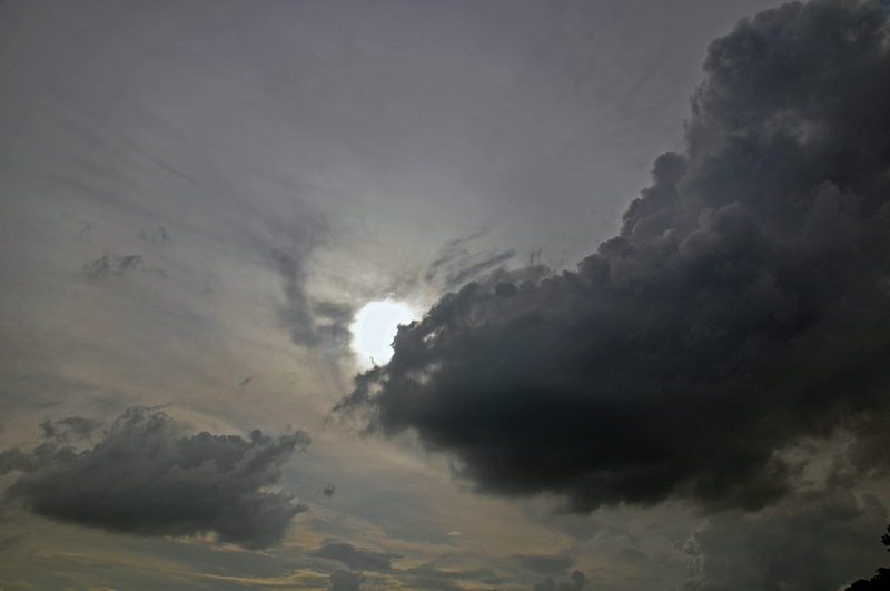 dsc_8602.jpg