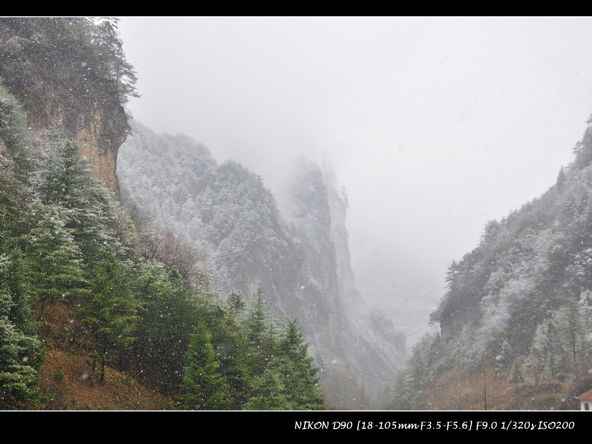 dsc_0053.jpg