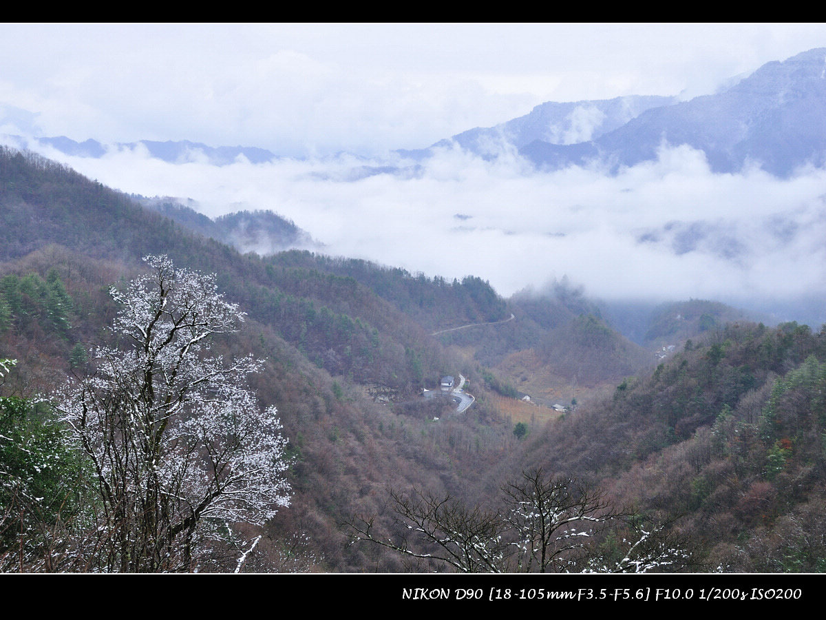 dsc_0096.jpg