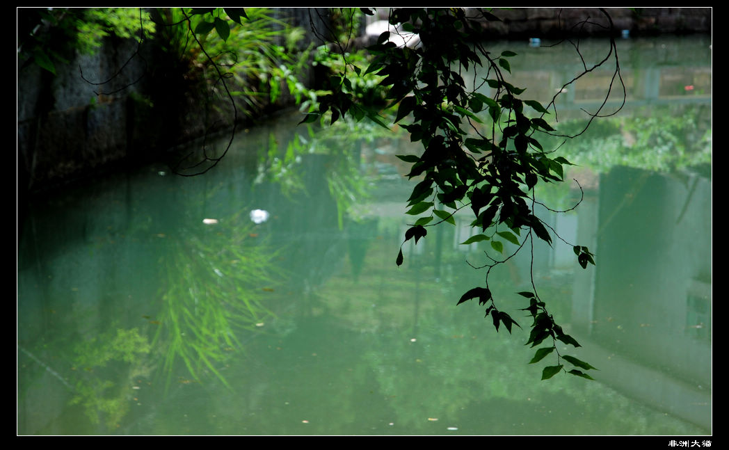 neo_img_dsc_2267.jpg