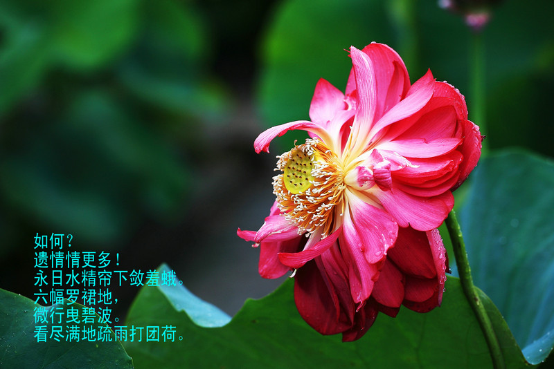 img_9968__1.jpg
