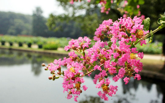 img_0994aaa.jpg