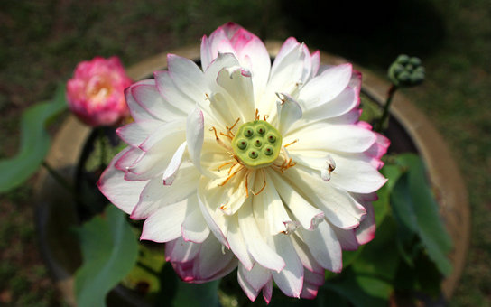img_0987aaa.jpg