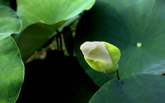 img_1285aaa.jpg