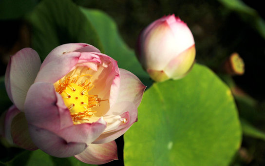 img_1123aaa.jpg