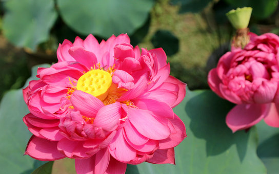 img_0948aaa.jpg