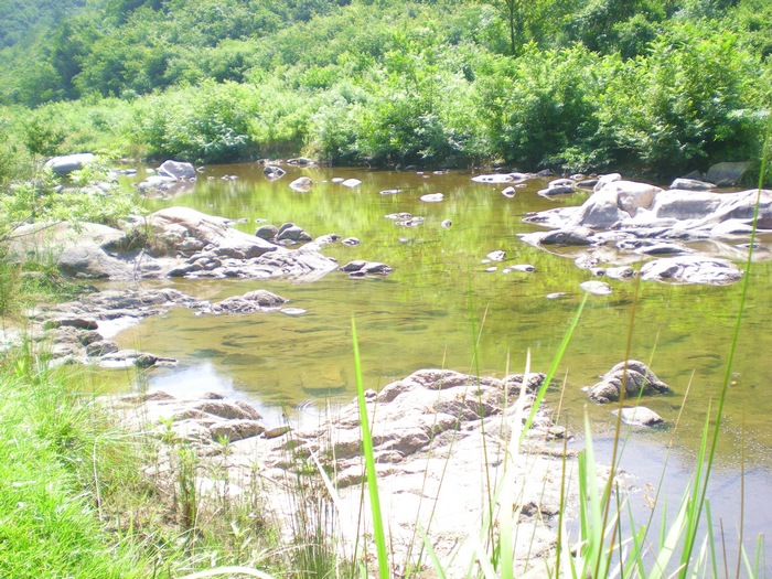 dscn8441.jpg
