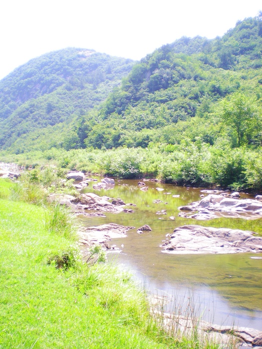 dscn8440.jpg