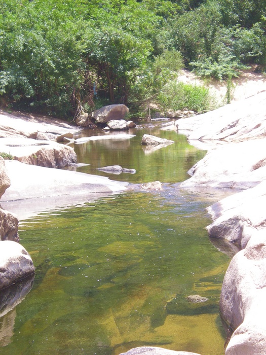 dscn8460.jpg