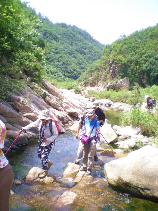 dscn8442.jpg