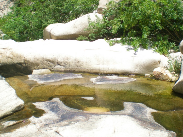 dscn8461.jpg