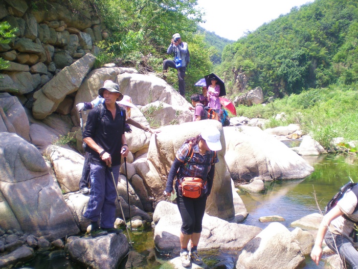 dscn8446.jpg