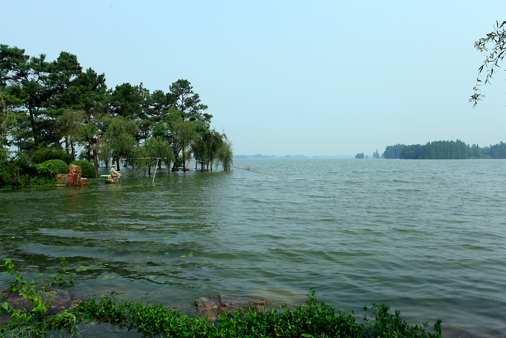 _mg_0050.jpg