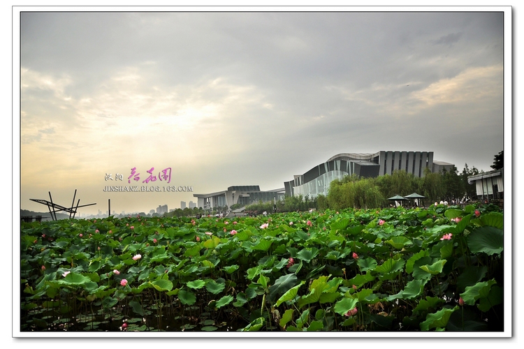 neo_img_pdsc_6722.jpg