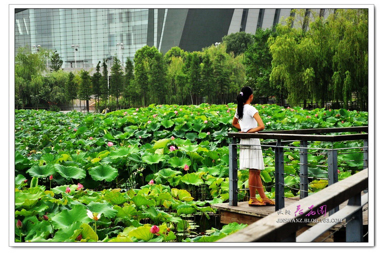 neo_img_pdsc_6810.jpg