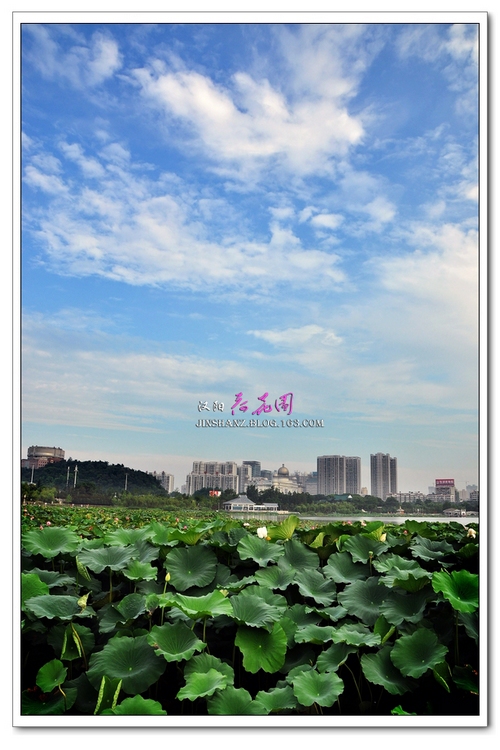 neo_img_pdsc_6941.jpg