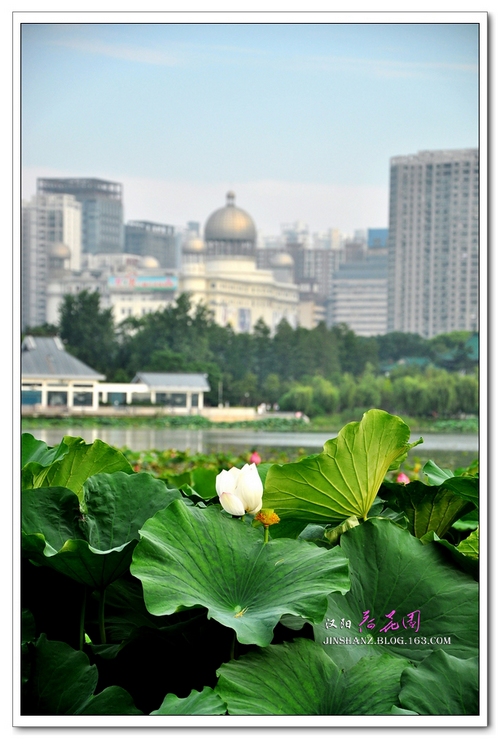 neo_img_pdsc_6938.jpg