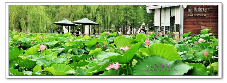 neo_img_pdsc_6728.jpg