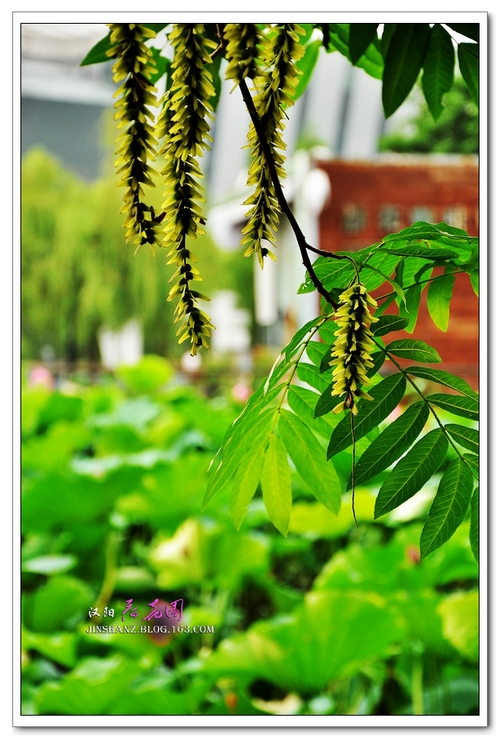 neo_img_pdsc_6757.jpg