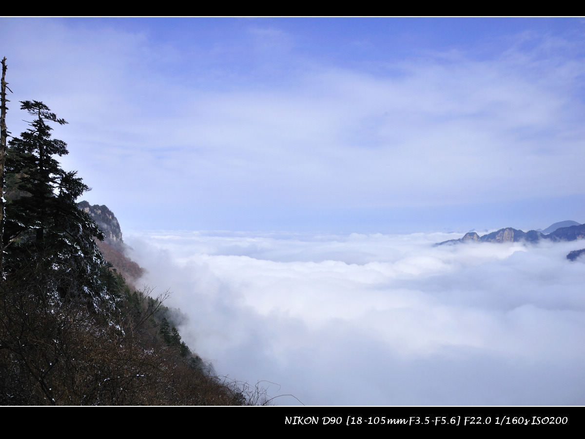 dsc_0165.jpg