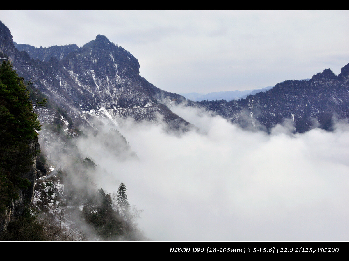 dsc_0294-2.jpg