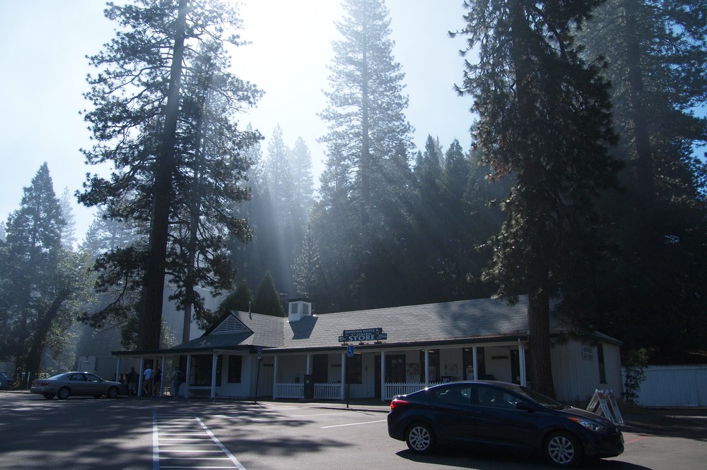 k1020563.jpg