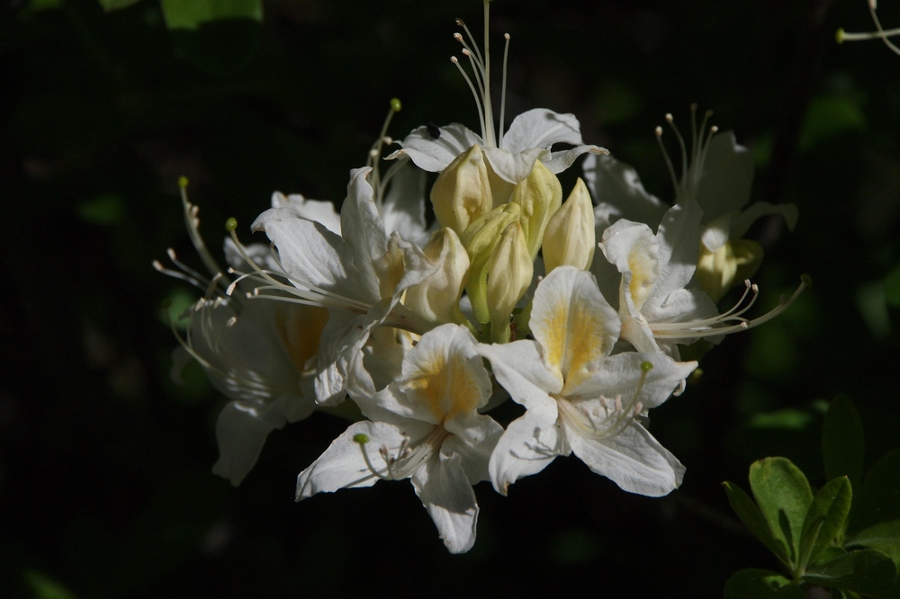 k1020571.jpg