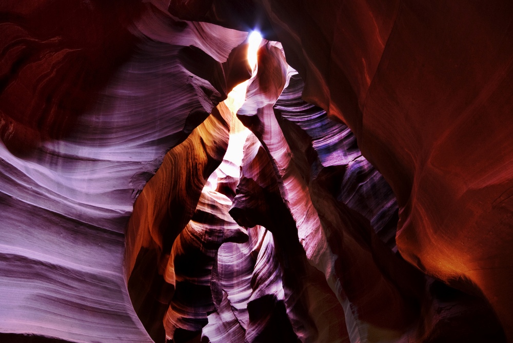 _dsc6560.jpg