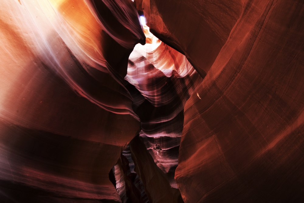 _dsc6559.jpg