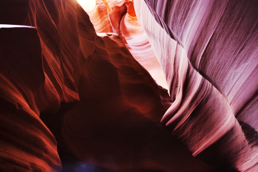 _dsc6596.jpg