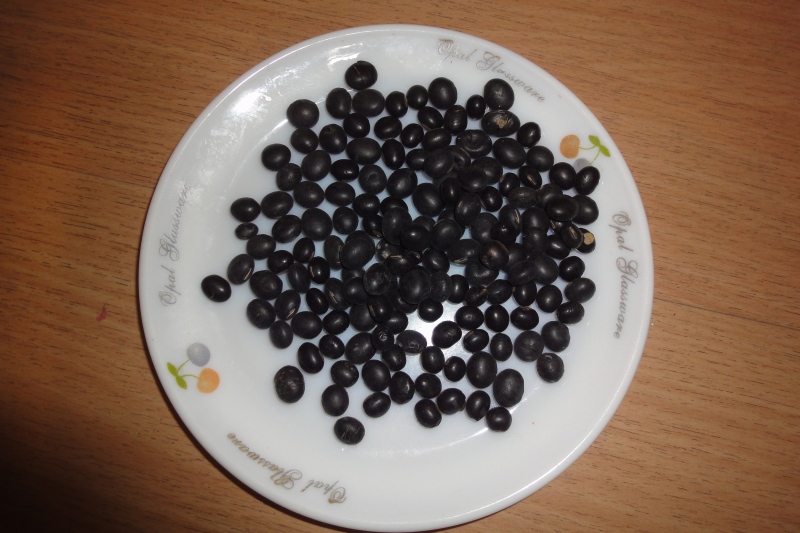 dsc05584-1.jpg