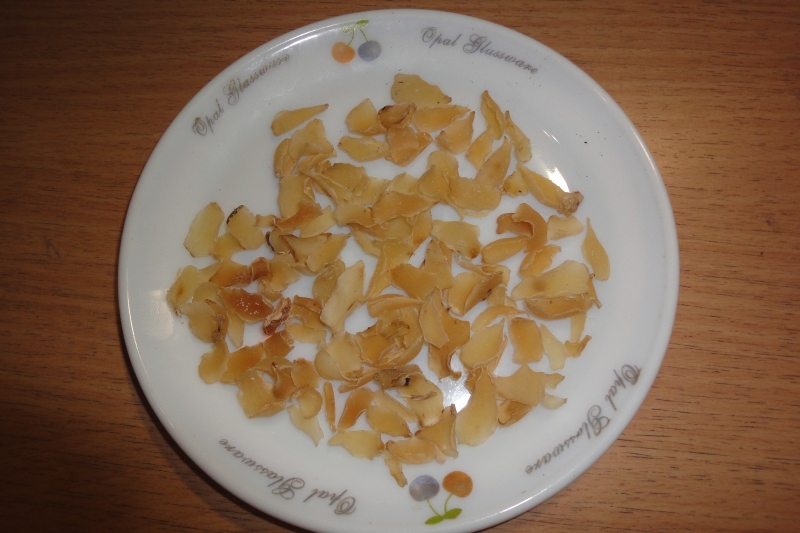 dsc05590-1.jpg