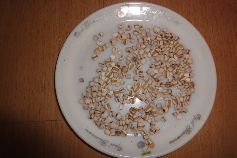 dsc05587-1.jpg