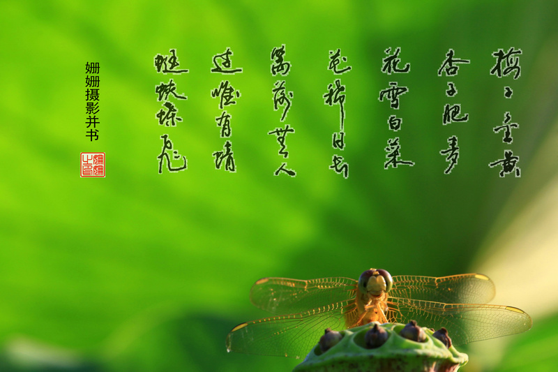 鷨Ӱ.jpg
