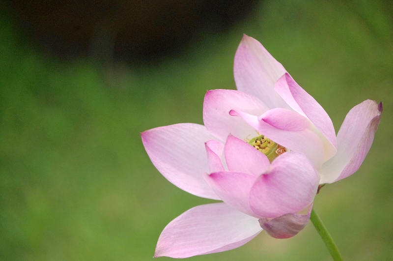 imgp0402.jpg