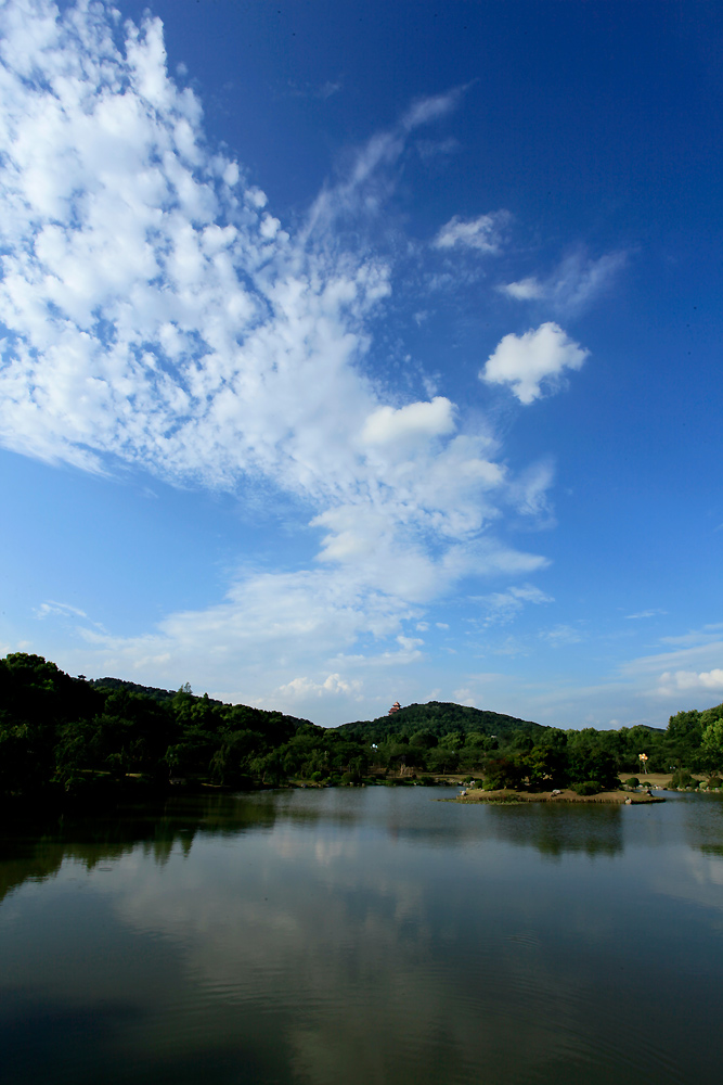 _mg_0228.jpg