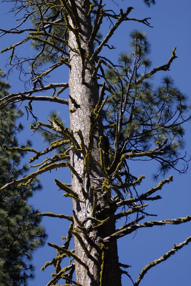 _dsc5300.jpg