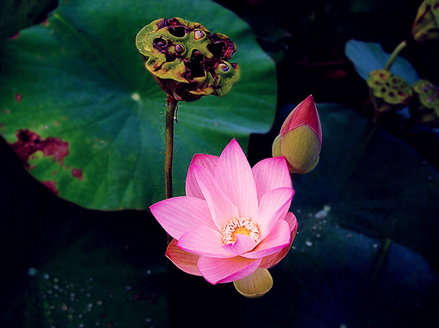 dscn9591__.jpg